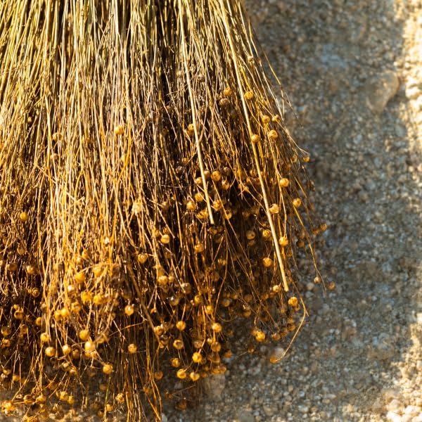 Shiro Flax Oil 50ml Natural Cold-Pressed Oil for Health and Wellness