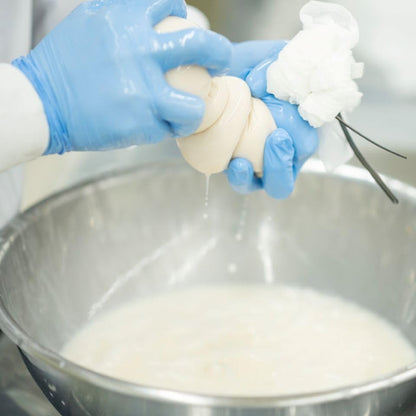 Shiro Sake Lees and Rice Bran Lotion 120ml for Nourished Skin Care