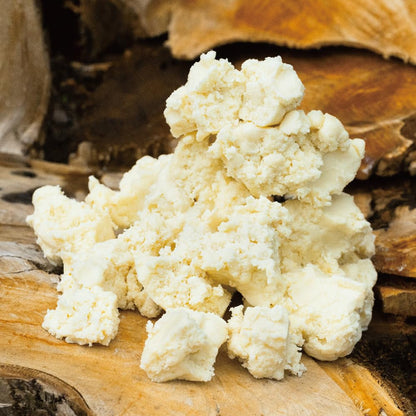 Shiro Sheer Highlighter Mimosa Beige 2B03 Natural Glow Makeup