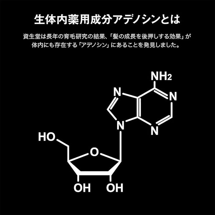 资生堂 Adenogen Ex 头皮滋补护发素 300ml