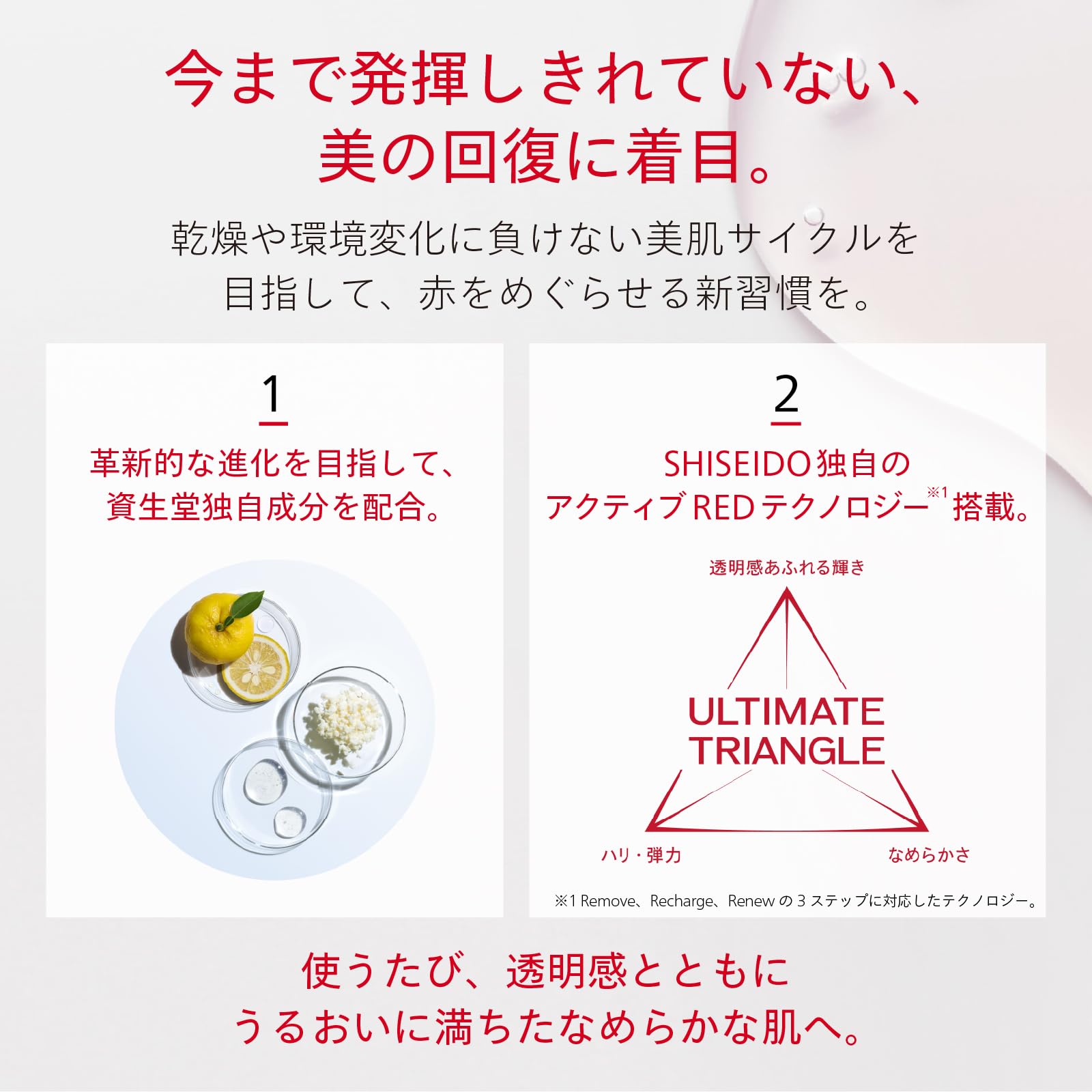 Shiseido Ginza Tokyo Eudermin Essence Lotion Refill 145Ml Hydrating Formula