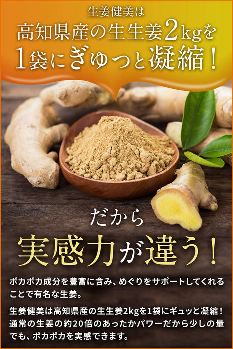 Ginger Bodybuilding Japanese Ground Ginger Powder 100G for Health Boost