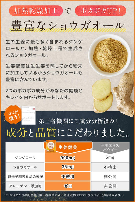 Ginger Bodybuilding Japanese Ground Ginger Powder 100G for Health Boost