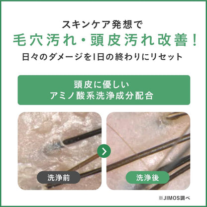 SINN PURETE Shampoo 480ml - Spicy Floral Damage Care & Frizz Control