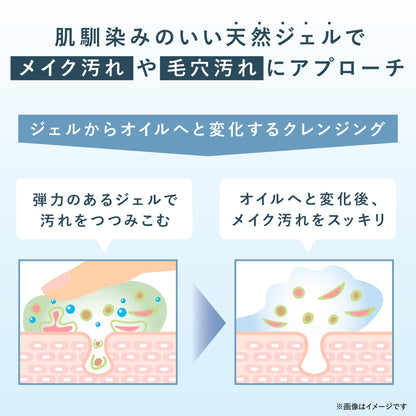 SINN PURETE Cleansing Gel: Pore Cleanser & Makeup Remover 2-Month Supply