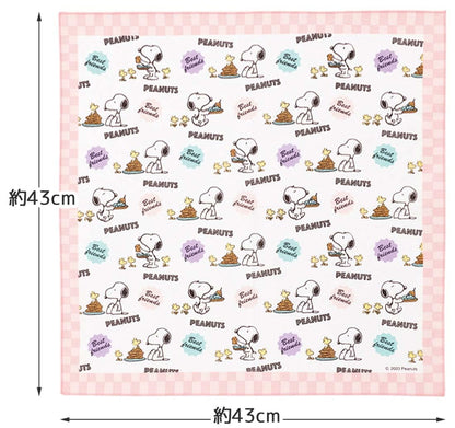 Skater Kids Lunch Cloth 43x43cm Snoopy 80s Cafe Japan Made