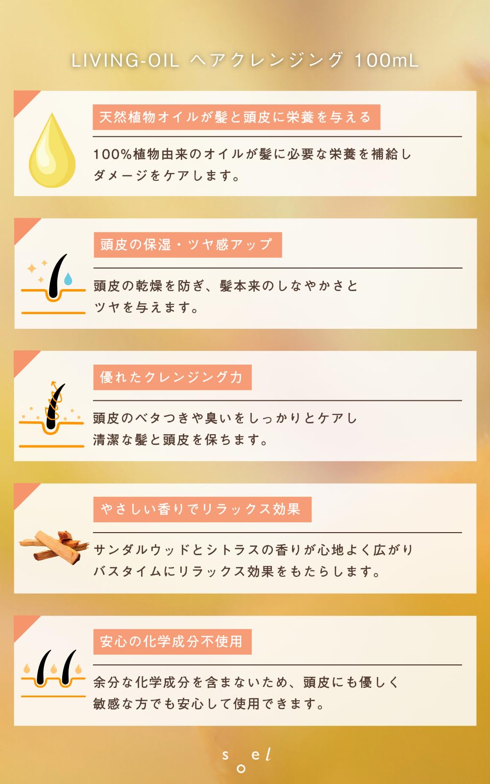 Soel Oil Hair Cleanser 100ml Silicone-Free Natural Scalp Care