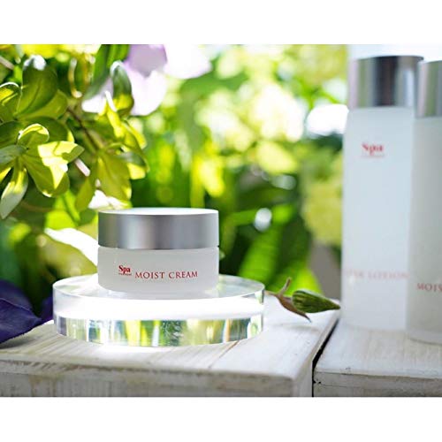 Spa Treatments Absolute Water Moist Cream 30G - Hydrating Moisturizer