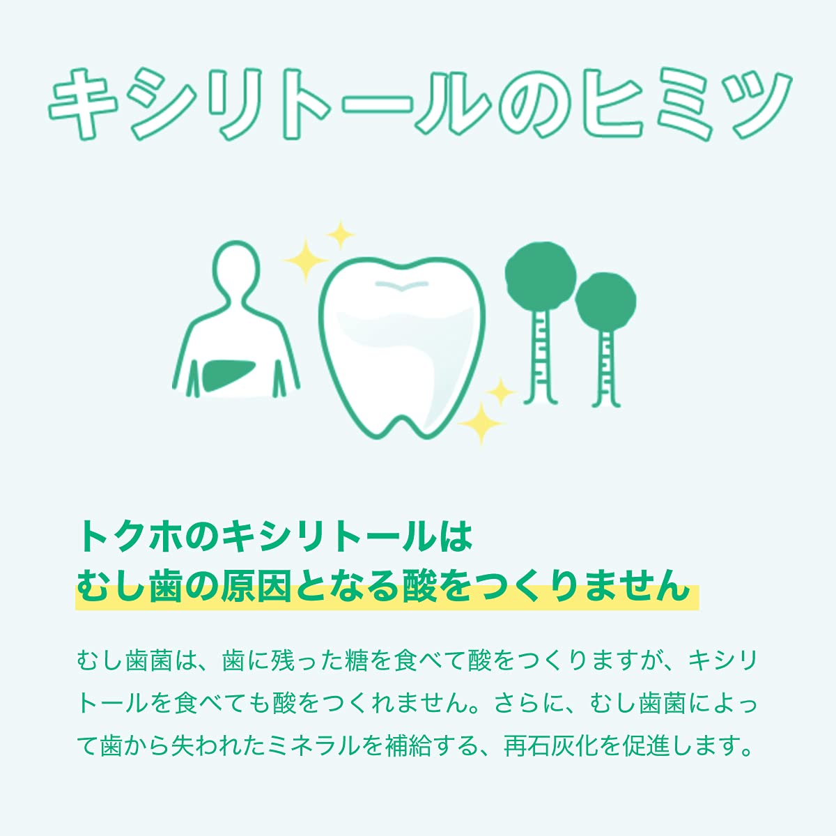 Lotte Xylitol Gum Fresh Mint Family Bottle 143G - Special Health Food