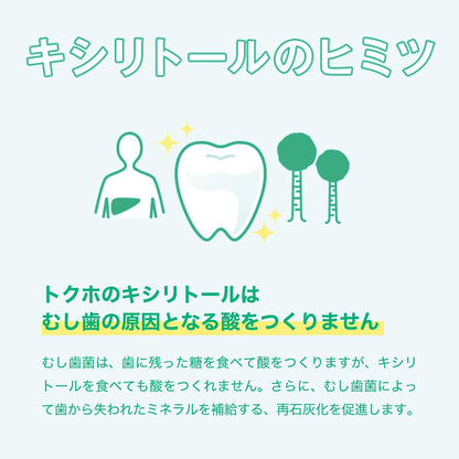 Lotte Xylitol Gum Fresh Mint Family Bottle 143G - Special Health Food