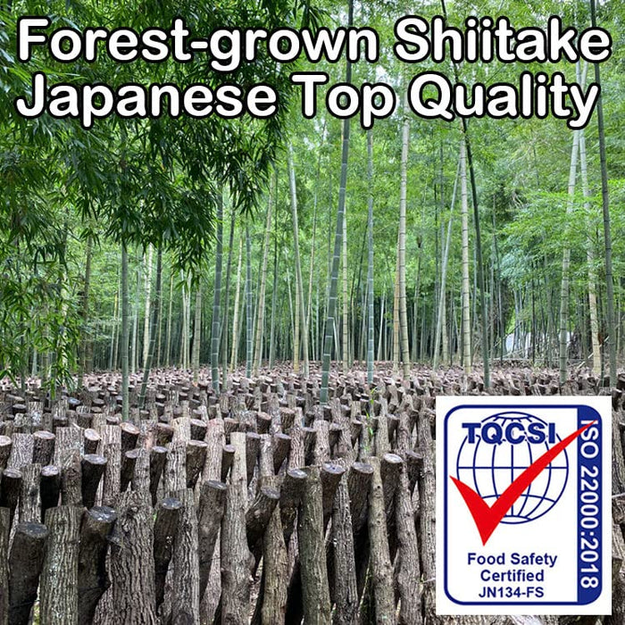 Sugimoto Organic Japanese Shiitake Mushroom Powder 40G All-Purpose