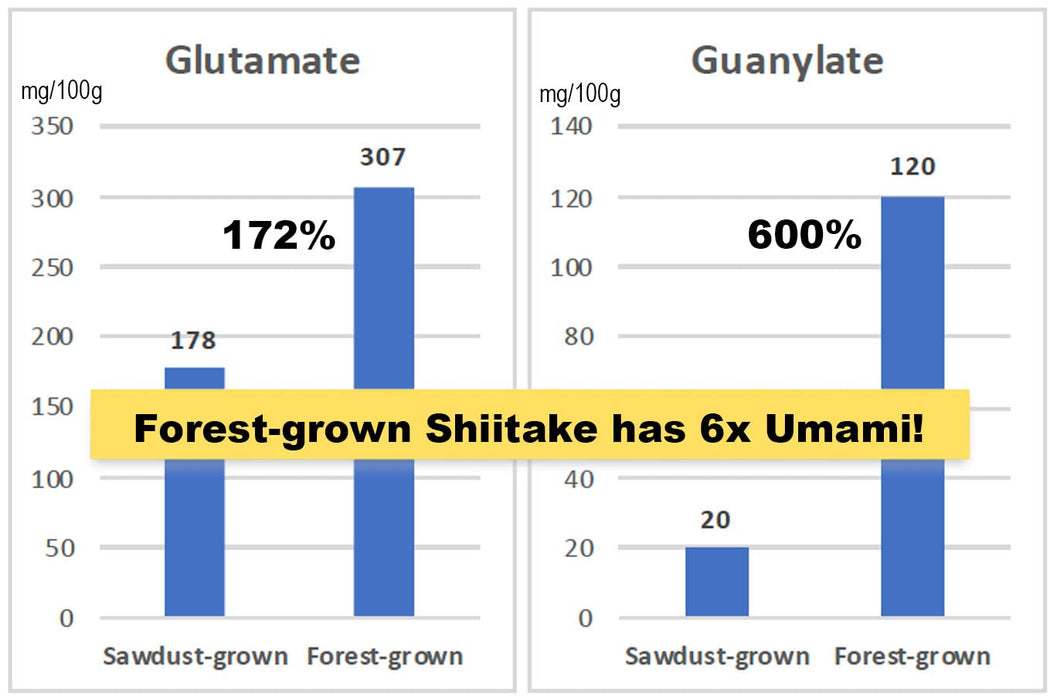 Sugimoto Organic Japanese Shiitake Mushroom Powder 40G All-Purpose