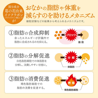 Health Management Functional Food Tablets for Belly Fat with Kudzu Flower Isoflavones