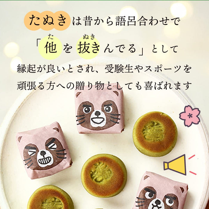 Tanuki Honpo Japanese Matcha Manju Cake Pack of 3 Traditional Bite-Sized Treats