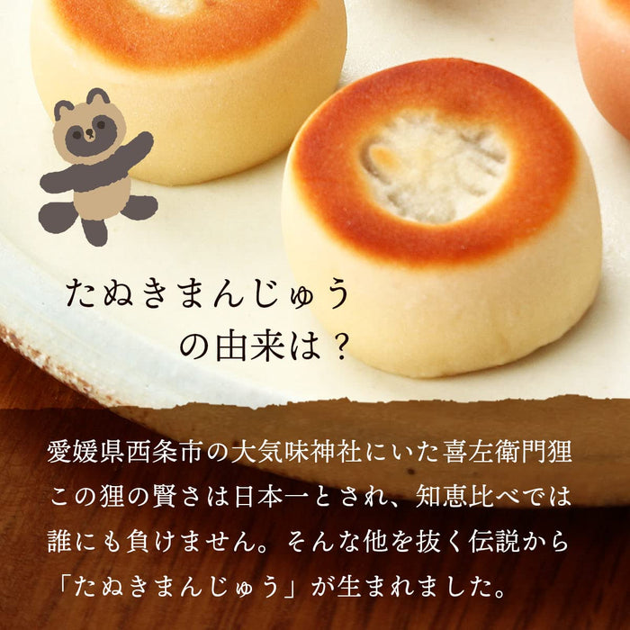 Tanuki Honpo Azuki Red Bean Manju Mini Cakes Pack of 3 Traditional Snack