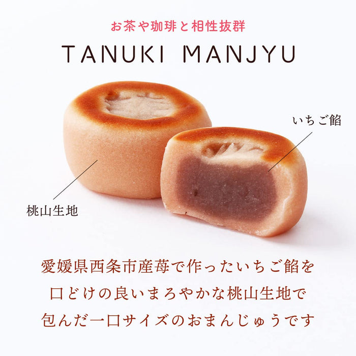 Tanuki Honpo Strawberry-Filled Bite-Sized Cakes Pack of 3 Traditional Manju