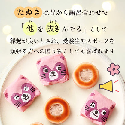 Tanuki Honpo Strawberry-Filled Bite-Sized Cakes Pack of 3 Traditional Manju