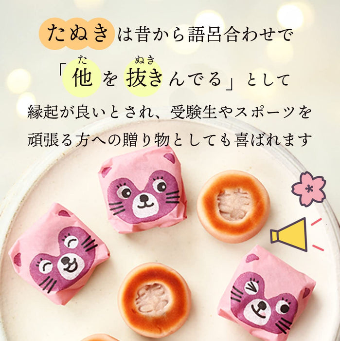 Tanuki Honpo Strawberry-Filled Bite-Sized Cakes Pack of 3 Traditional Manju