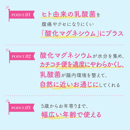 Biofermin Magnesium Oxide Laxative 90 Tablets [Third-Class OTC Drug]