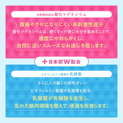 Biofermin Magnesium Oxide Laxative 90 Tablets [Third-Class OTC Drug]