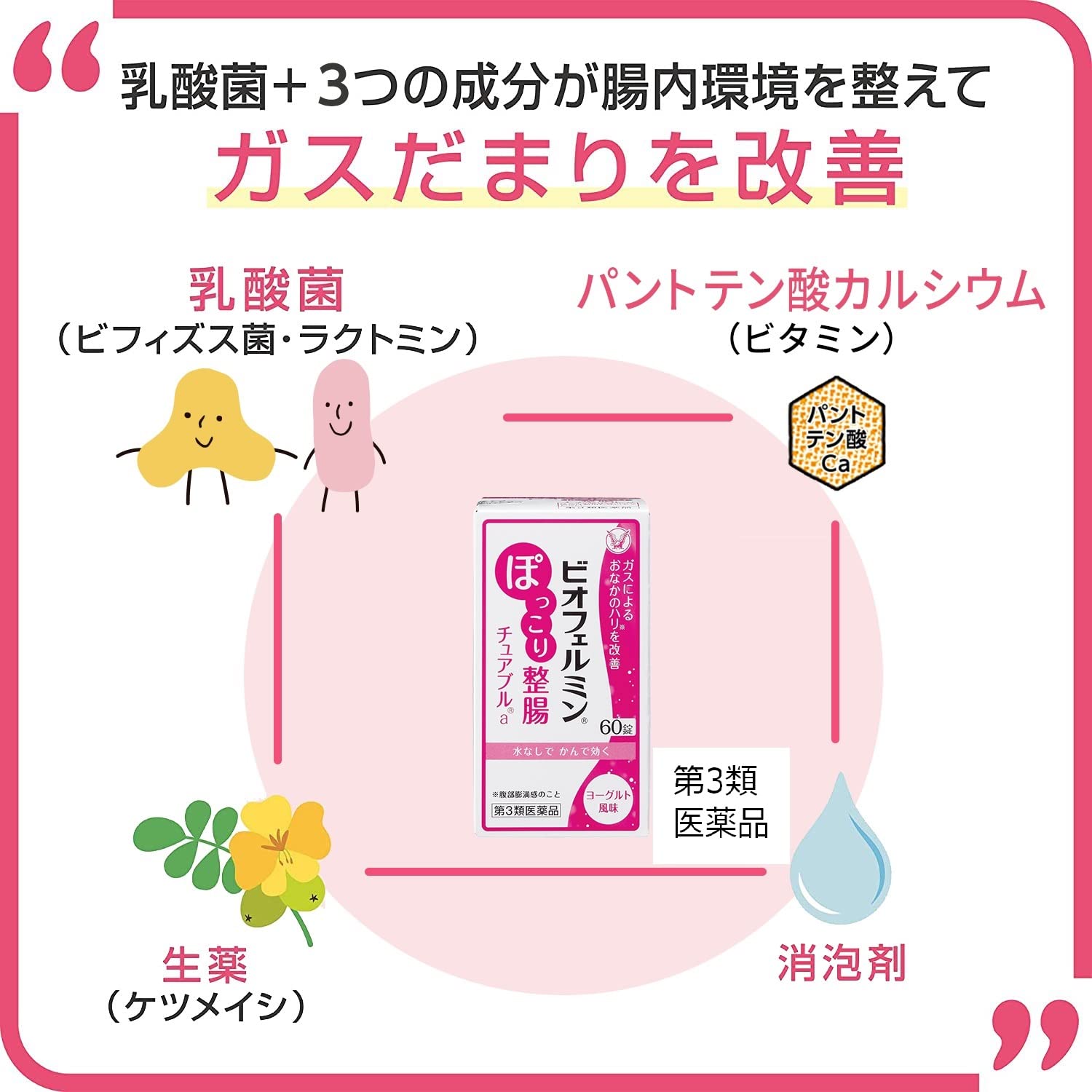 Biofermin Pokkori Intestinal Chewable Tablets A - 60 Count Third-Class OTC