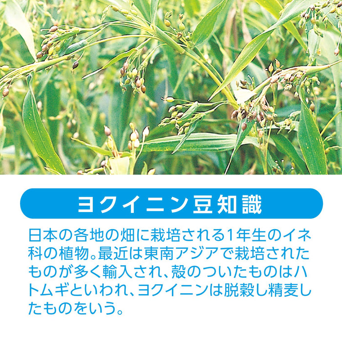 Natural Life 日本藥典薏苡仁粉 400G 保健品