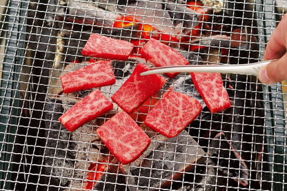 Todai 240mm Matte Black Stainless Steel Yakiniku BBQ Tongs