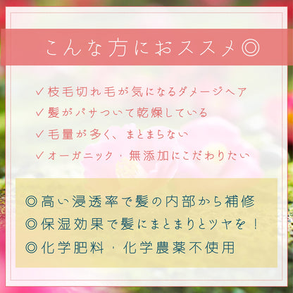 Jindai Camellia Toshima Pure Organic Camellia Oil 50ml Premium Hair Care