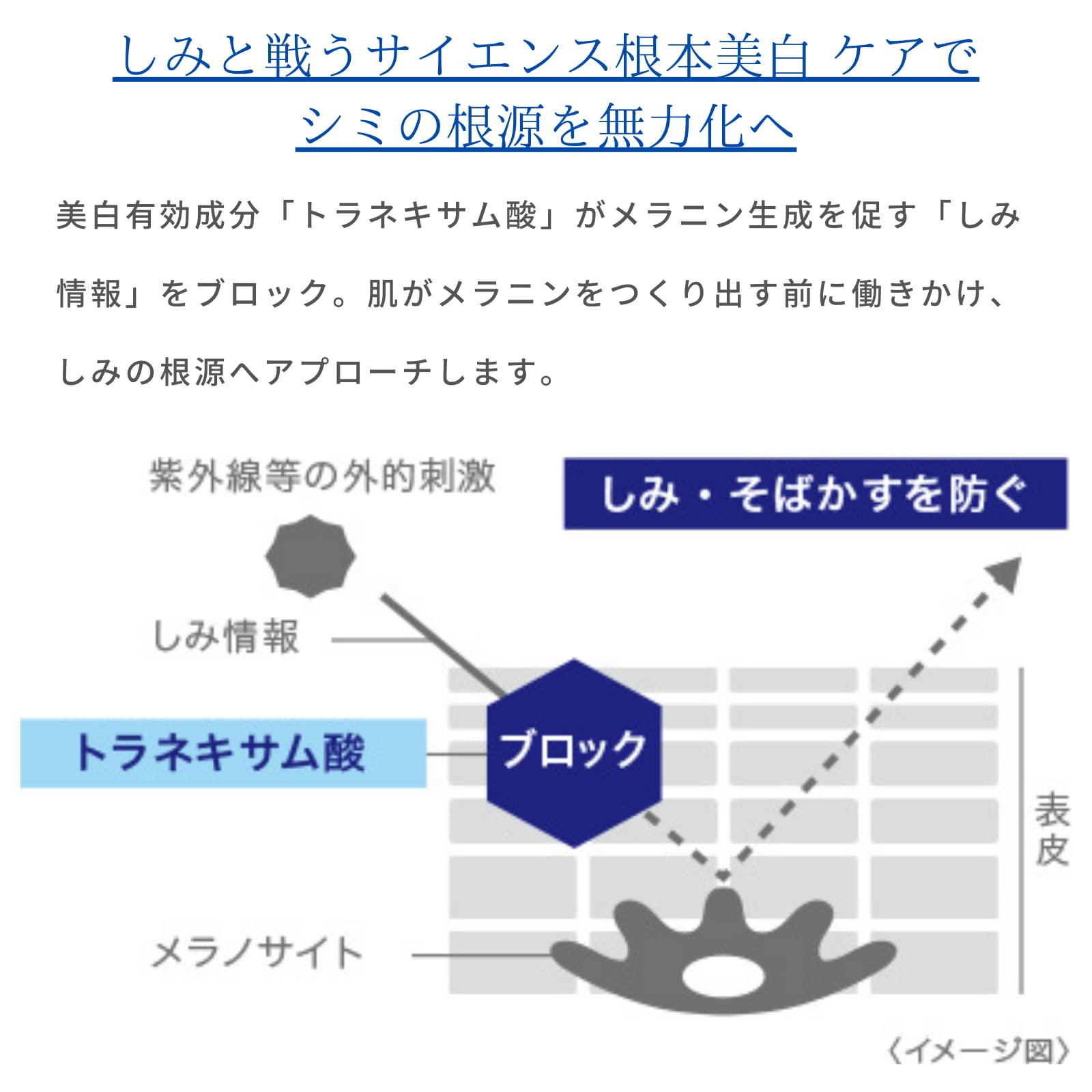 Transino Medicinal Whitening Stick 5.3g with Tranexamic Acid Spot Care