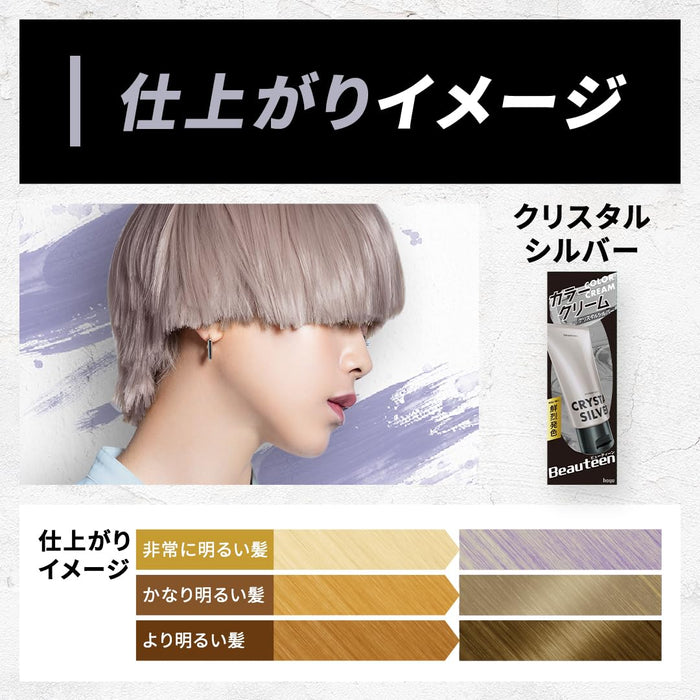 Beauty Teen Silver Point Color Cream – Crystal Silver Hair Dye