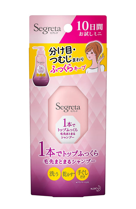 Segreta Sp Mini: Fluffy Neat Hair with Just One Application