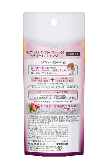 Segreta Sp Mini: Fluffy Neat Hair with Just One Application