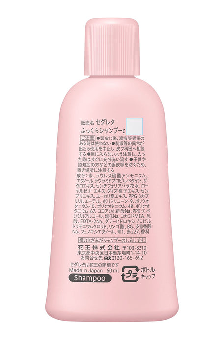 Segreta Sp Mini: Fluffy Neat Hair with Just One Application