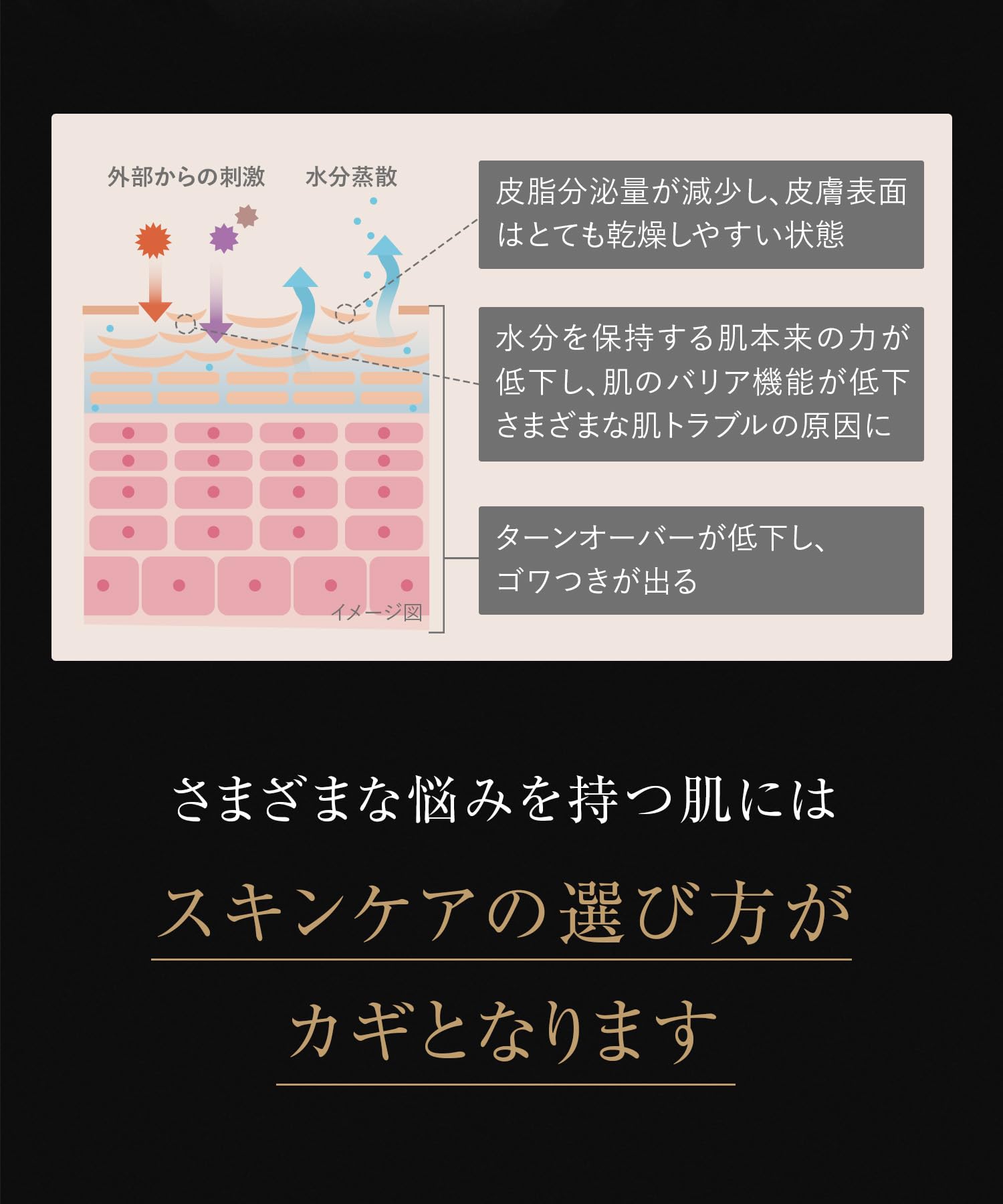 Wrinkfade Medicated Wrinkle Care Moisture Lotion for Anti-Aging Skin