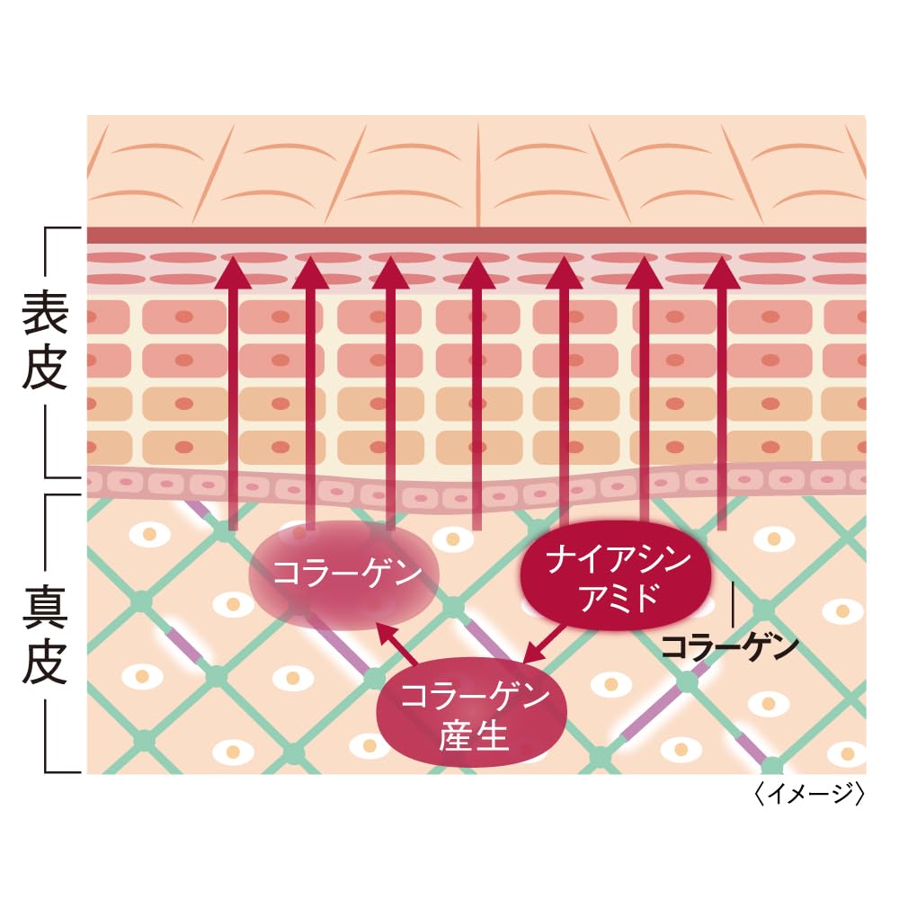Tunemakers 120ml 주름 개선 로션 (나이아신아마이드 및 레티놀 유도체 함유)
