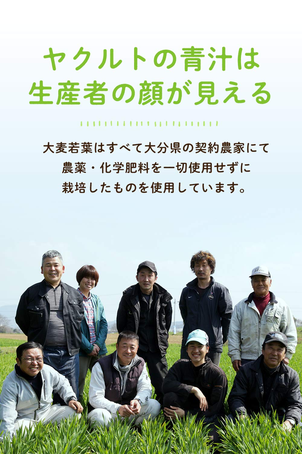 Yakult Health Foods Aojiru No Meguri 30 Packs Oita Barley Leaves Dietary Fiber