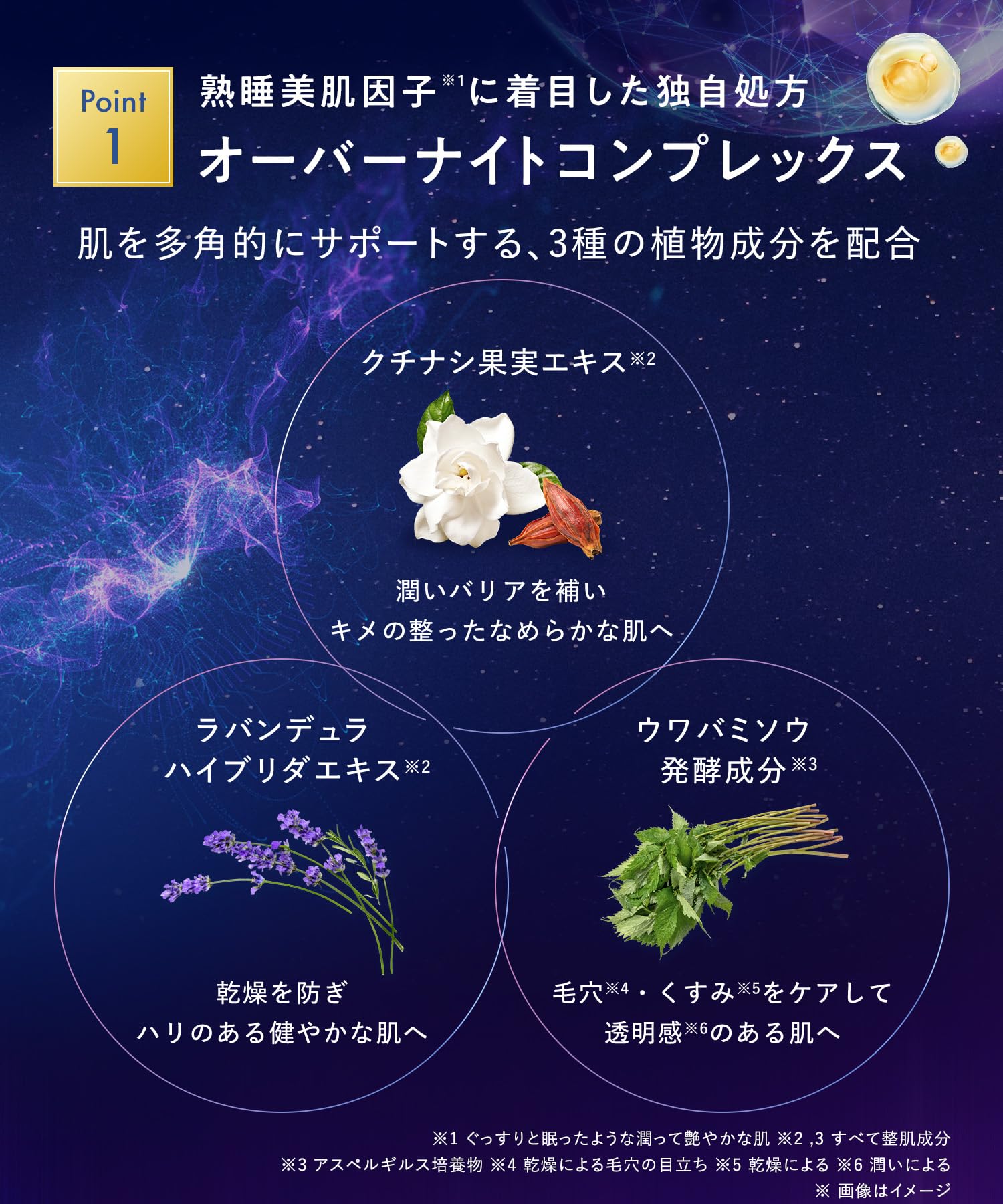 Yolu Skin Overnight Serum for Clear Complexion - Radiant Results