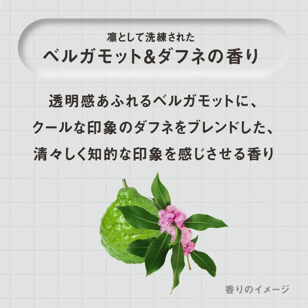 The Answer Kao THE ANSWER Super Lamella Shampoo Refill