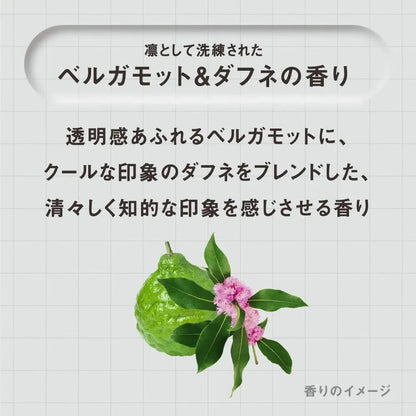 The Answer Kao THE ANSWER Super Lamella Shampoo Refill