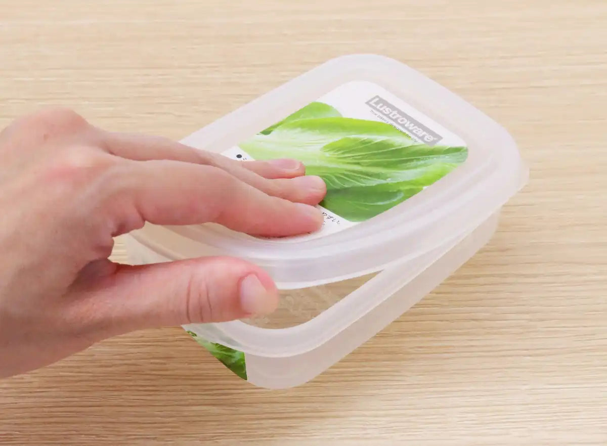 Iwasaki Industry Made In Japan Antibacterial Food Case S B1720Fr - Japan