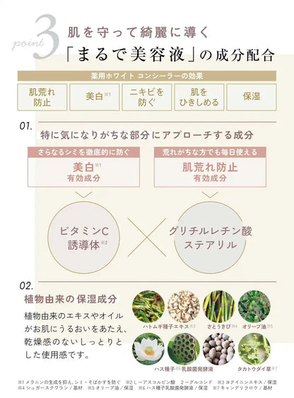 EX:BEAUTE Medicated White Concealer Natural Finish High Coverage 1 Bottle