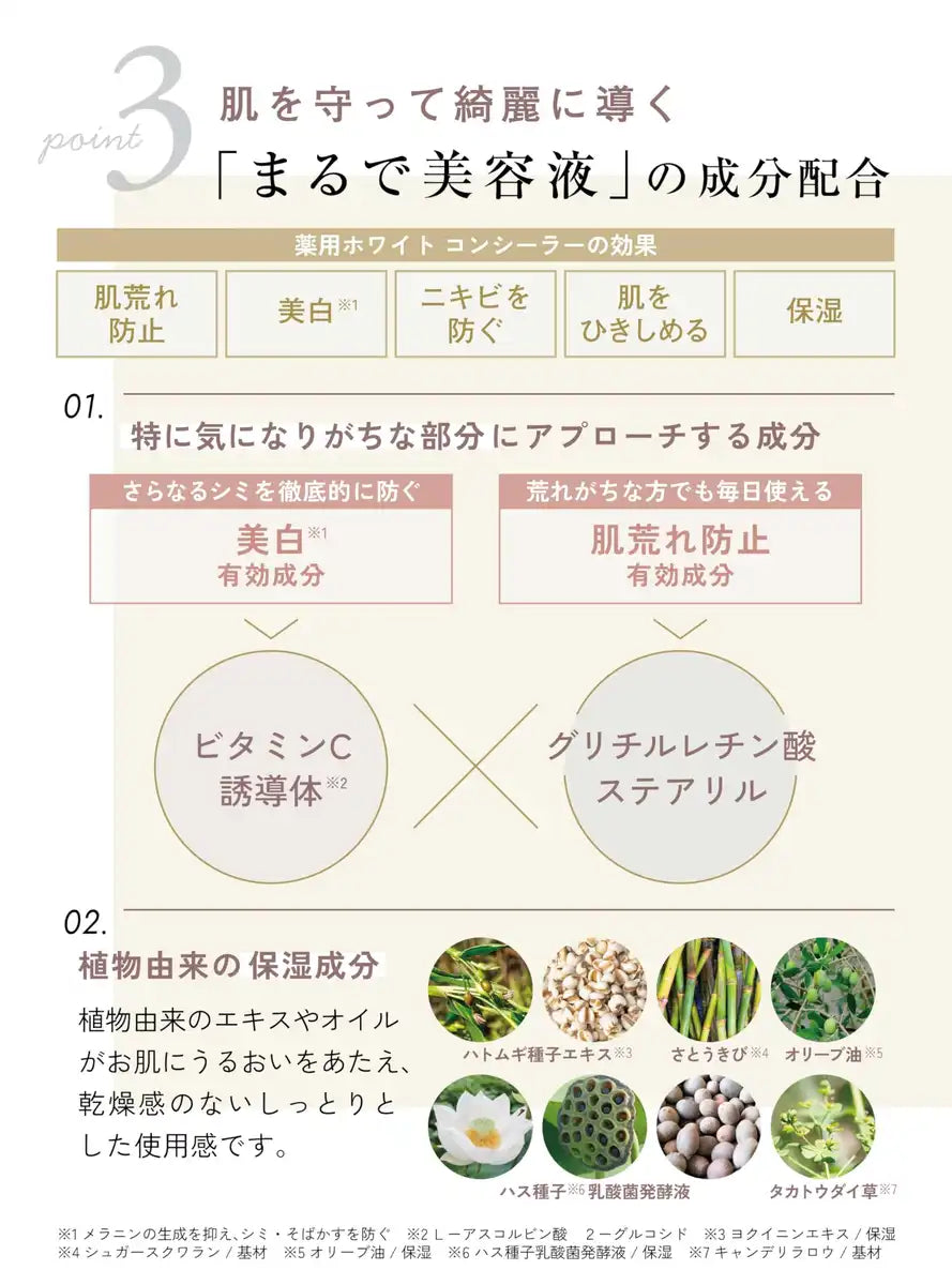 EX:BEAUTE Medicated White Concealer Natural Finish High Coverage 1 Bottle