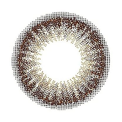 Flanmy One Day Chocolate Tart -02.75 Power 30 Pieces Japan