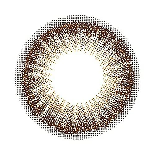 Flanmy One Day Chocolate Tart -02.75 Power 30 Pieces Japan