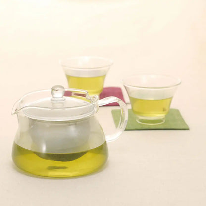 Hario Tea Teapot 450ml CHJKN-45