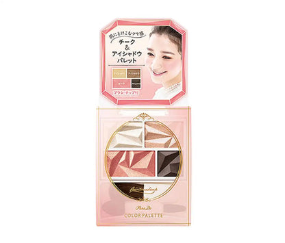 Parado Color Palette 01 Basic Feminine Eyeshadow Cheek Makeup Kit