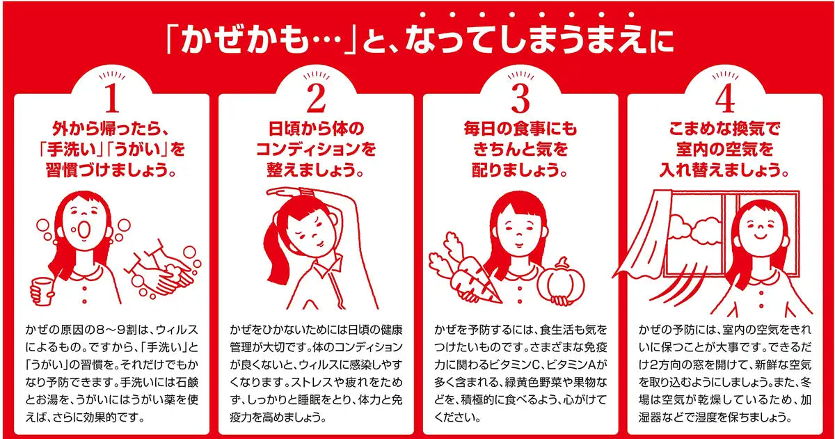 Shionogi Healthcare Pylon Pl Granule Pro 12 Packets [Class 2 OTC Drug]