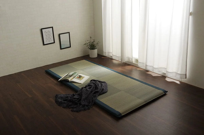 Ikehiko Corp Japan Igusa Sheets Bed Pad Noah Raku Raku Single Blue