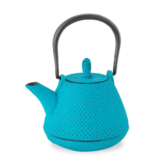 Ren Of Nanbu Tekki Teapot 0.4L Turquoise Blue Japan Traditional Craft | Arare Dome Iron Teapot W/Enameled Tea Strainer
