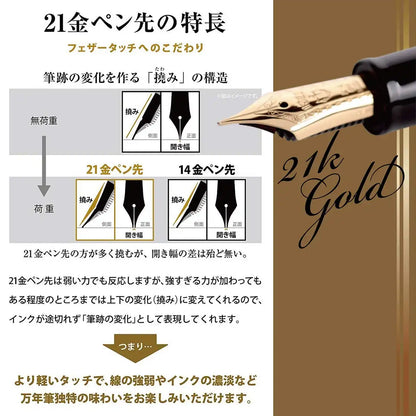 Sailor Fountain Pen Profit 21 Medium Fine in Black Model 11-2021-320